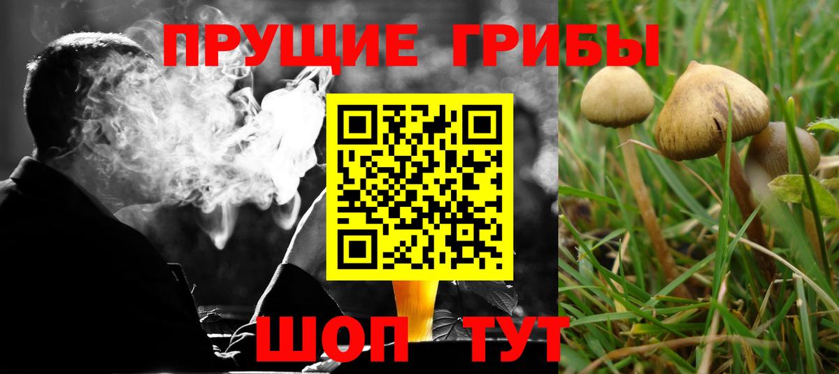 Галлюциногенные грибы ЛСД  Псилоцибиновые грибы Psilocybe  Вход с VPN  Троицк 